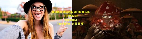 МДПВ Новокубанск