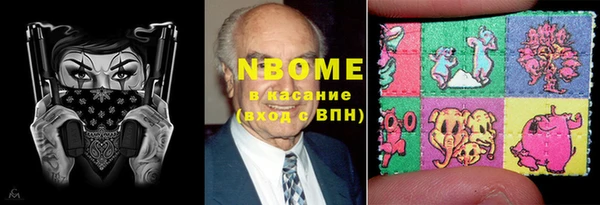 шишки Новозыбков