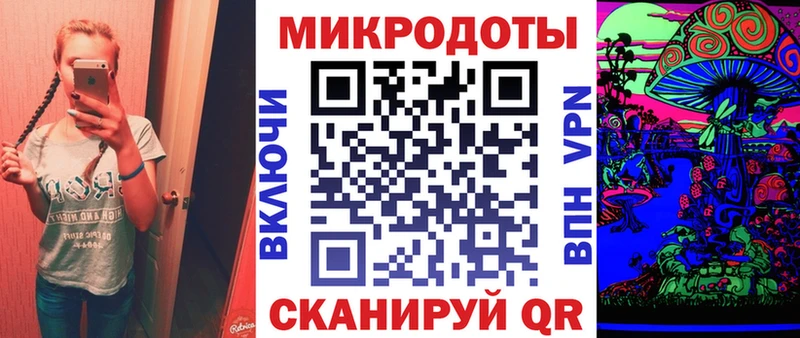 где купить наркотик  Кяхта  Галлюциногенные грибы Psilocybine cubensis 